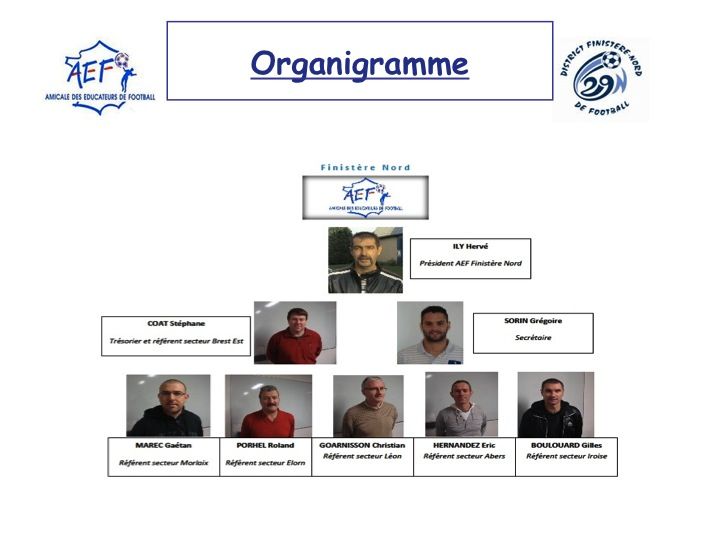 Organigramme AEF 29N